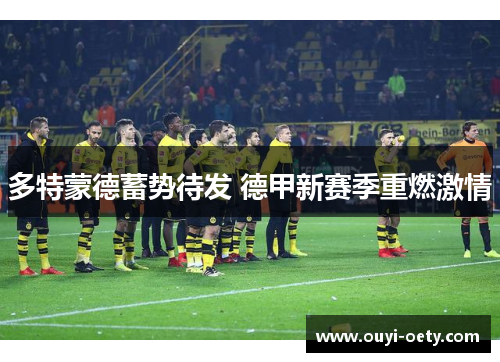 多特蒙德蓄势待发 德甲新赛季重燃激情